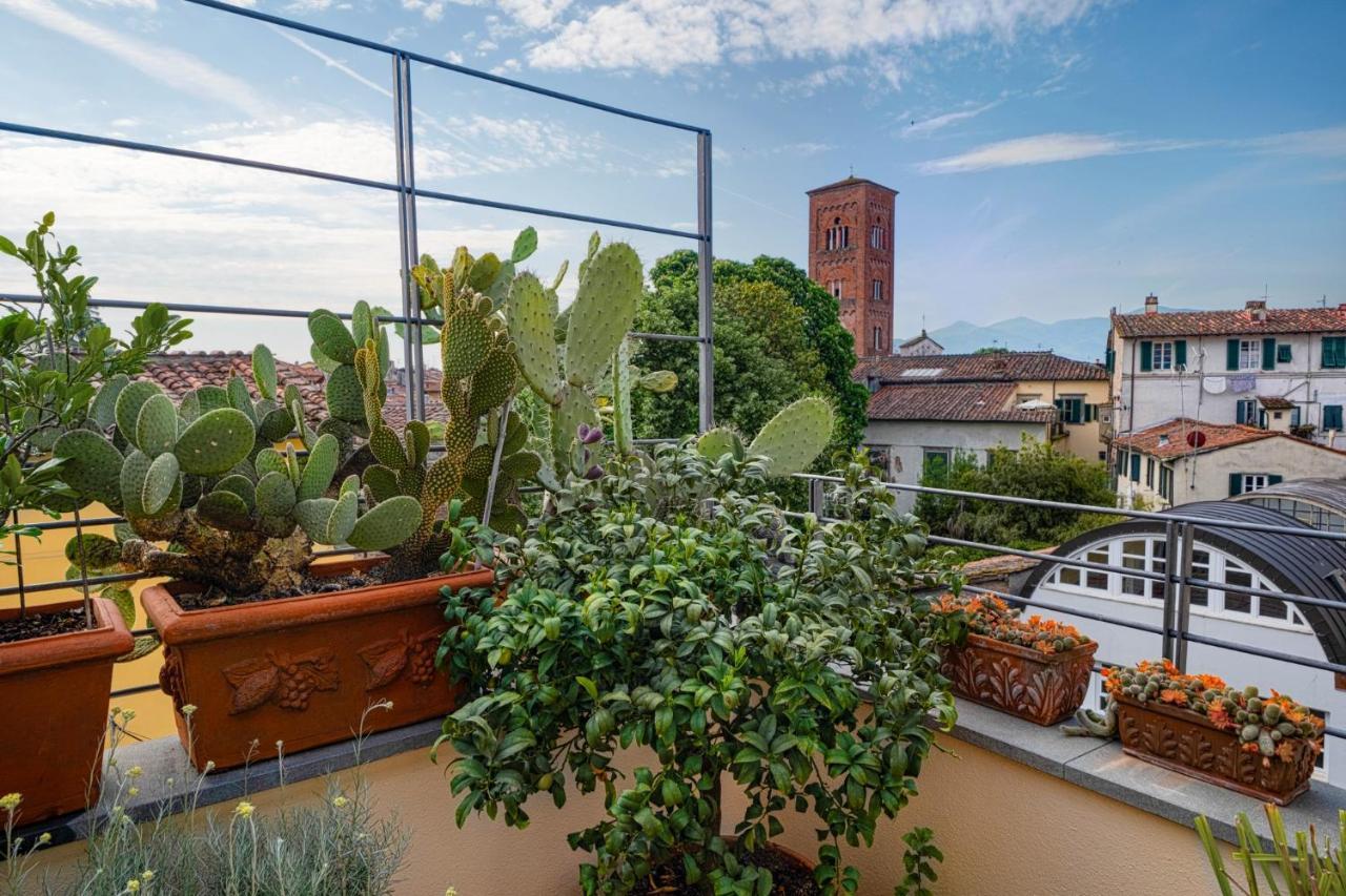 My Guesthouse Lucca Exteriér fotografie